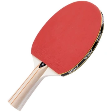 Stiga Evolve 1-Star table tennis racket 9280059179