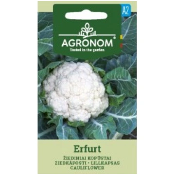 ZIEDKĀPOSTI ERFURT AGRONOM