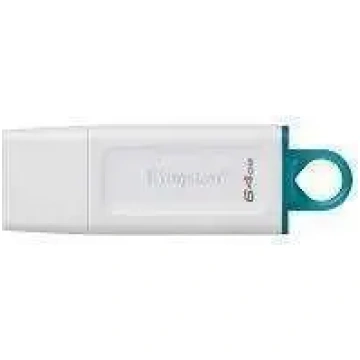 MEMORY DRIVE FLASH USB3 256GB/KC-U2G256-5R KINGSTO
