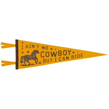 I Ain't No Cowboy But I Can Ride Pennant • Ja
