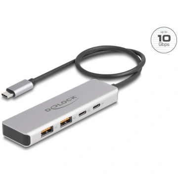 Delock USB 10 Gbps USB Type-C™ Hub with 2 x USB Ty