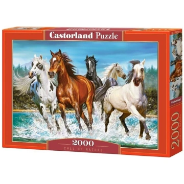 Castorland puzle Call of Nature, 2000 detaļu
