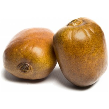 Set of 2 kiwis Casolaro Hotellerie