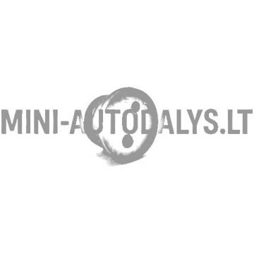 Degvielas kanāla blīve Lombardini 502 FOCS / Progr