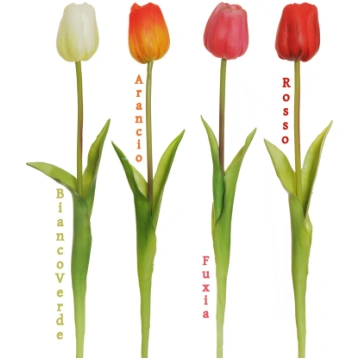 Rubber tulip Casolaro Hotellerie