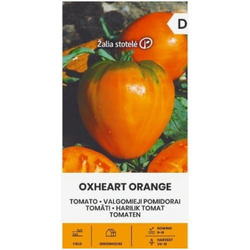 TOMĀTI OXHEART ORANGE Žalia stotelė