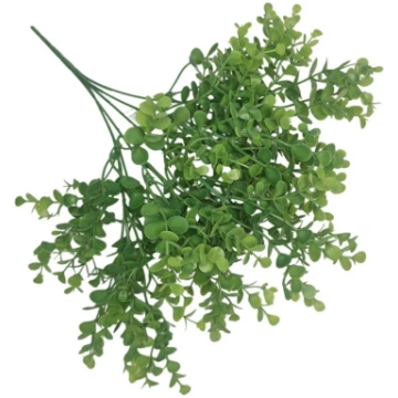 Eikalipta pušķis H35cm