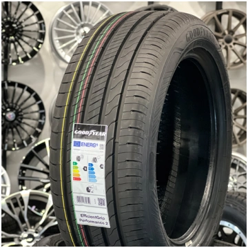 205/55R16 Goodyear EfficientGrip Performance 2 91H