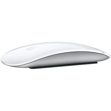 Apple Magic mouse Office Ambidextrous RF Wireless 