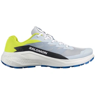 Salomon Alphaglide Taku Skriešanas Apavi - Vīriešu