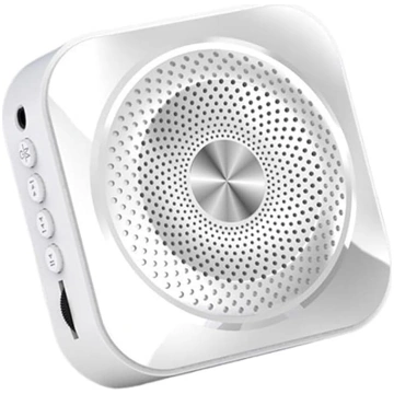 Bluetooth skaļrunis, portatīvs augstas veiktspējas