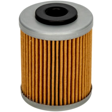 EĻĻAS FILTRS POLARIS 2520755