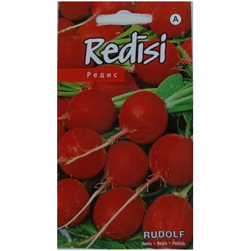 Redīsi Rudolf Kurzemes sēklas
