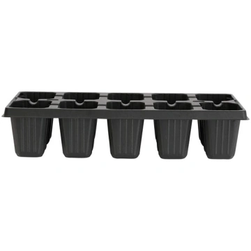 CELL TRAY WITH HANDLEXD10 28X13X6CM XD10 (47720134