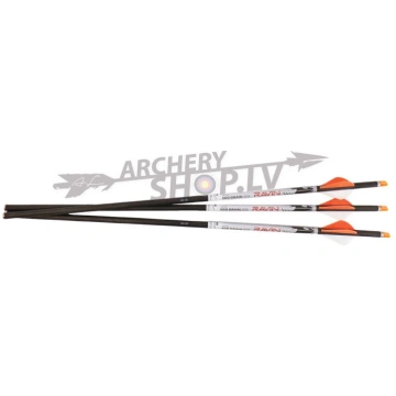 RAVIN, CROSSBOW LIGHTED BOLTS CARBON 500GR .001 3/
