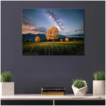 Audekls Sienas māksla Dabas ainavu gleznas Picture