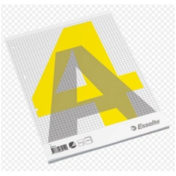 Notebook, removable lappuses, Esselte, A4/100, Squ