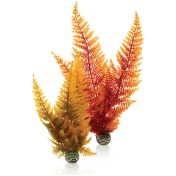 Oase biOrb Aquatic Autumn Fern Set 2 46065