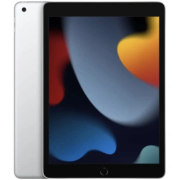 iPad 10,2 256GB 4G (9th gen)