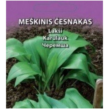 Lakši-ķiploka lapas Daudzgadīgs