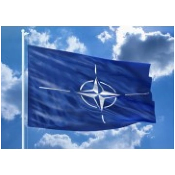 NATO karogs mastam 200x100cm 118412