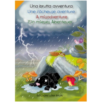 Una brutta avventura-Une fâcheuse aventure-A misad