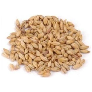 Biscuit miežu iesals - 1kg IE-003