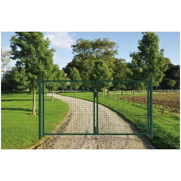 Divviru vārti 3×1,5m