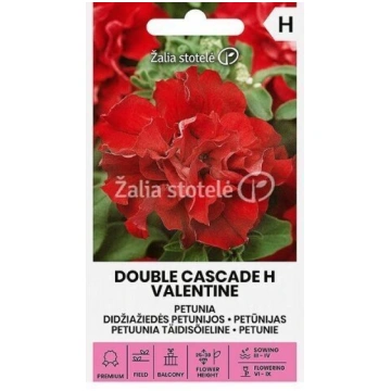 PETŪNIJAS PILDĪTĀS DOUBLE CASCADE H VALENTINE 20 g