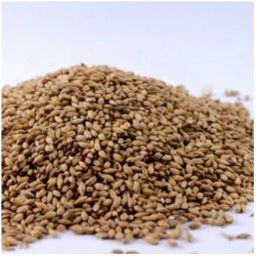 Kūpinātais ar kūdru miežu iesals (Vācija) 1kg IE-0