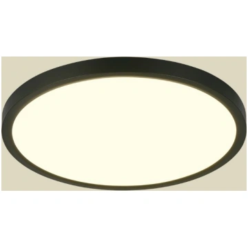 Trio Draco LED griestu lampa 40 cm matt black R658