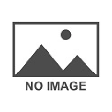 GOPRO EV-ICE 245/50R19 105V XL