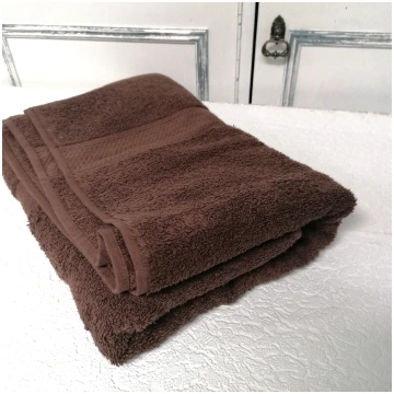 Princess Rafaella Towel with Embroidery - Brown / 
