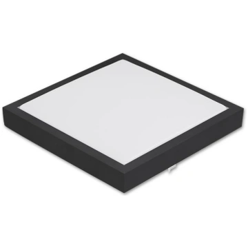 Virsapmetuma LED griestu panelis BINGO, 24W, 1920l