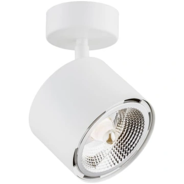 Griestu lampa CLEVLAND 4702 1xGU10-AR111/12W/230V 