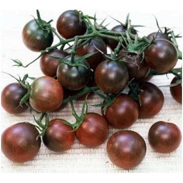 Tomāti Black Cherry 250 sēklas, Tomāti , Dārzeņu s