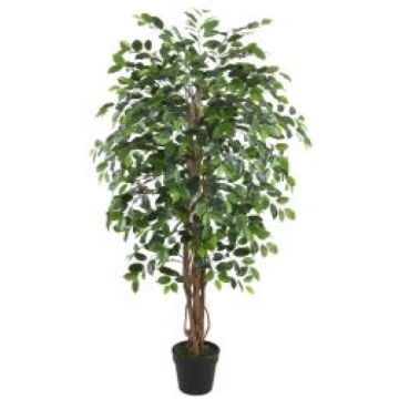 Mākslīgais koks WIND FICUS H150cm