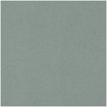 Tapetes Rasch Florentine 2 449846, vinila, zaļa kr