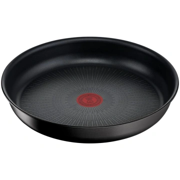 Tefal Ingenio Eco Resist panna 22 cm, sakraujama, 