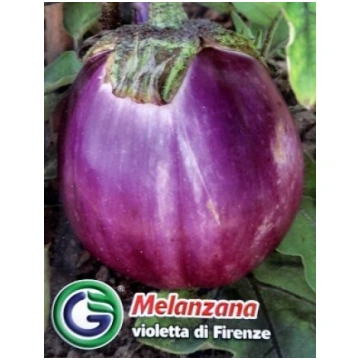 Baklažāni Violetta di Firenze 2.2 g Galassi Sement