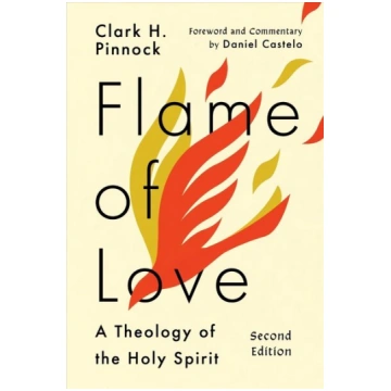 Flame of Love - A Theology of the Holy Spirit: A T