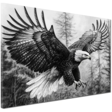 Quadro aquila bianco nero volo potenza libertà nat