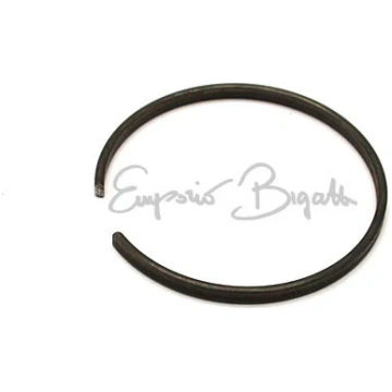 Anello elastico per cuscinetti ruota anteriore | F