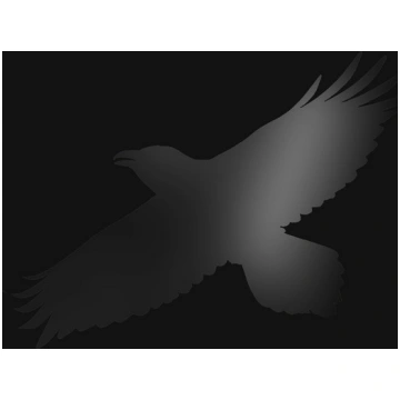 Sigur Rós - Odin's Raven Magic
