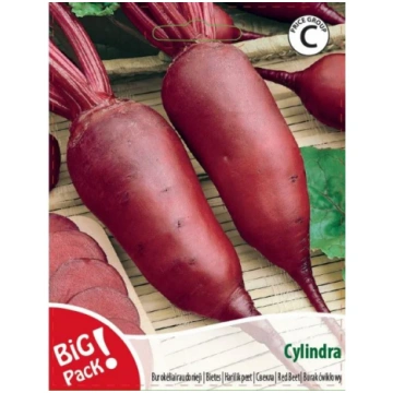 Sarkano biešu sēklas CYLINDRA, 10 g
