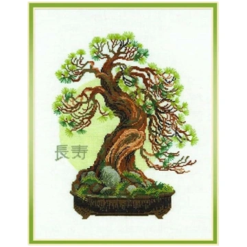 Riolis Bonsai priedes ilgmūžības vēlējums ANEB006Y