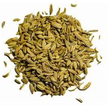 Fenhelis Foeniculum vulgare | Larēna