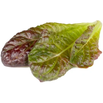 Click and Grow Smart Refill SGR94X3 — sarkanais ro