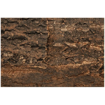 Reljefs terārijam : Repti Planet Background cork n