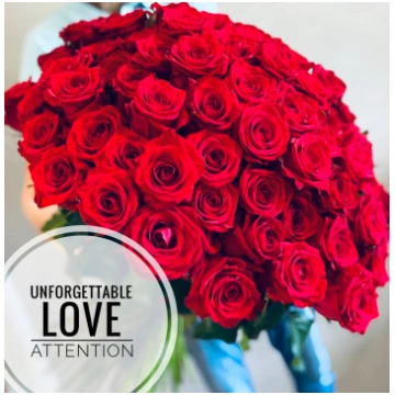 101 sarkana roze